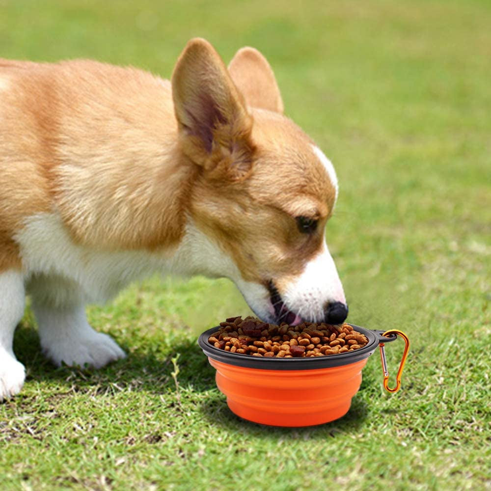 2-Pack Collapsible Travel Bowls