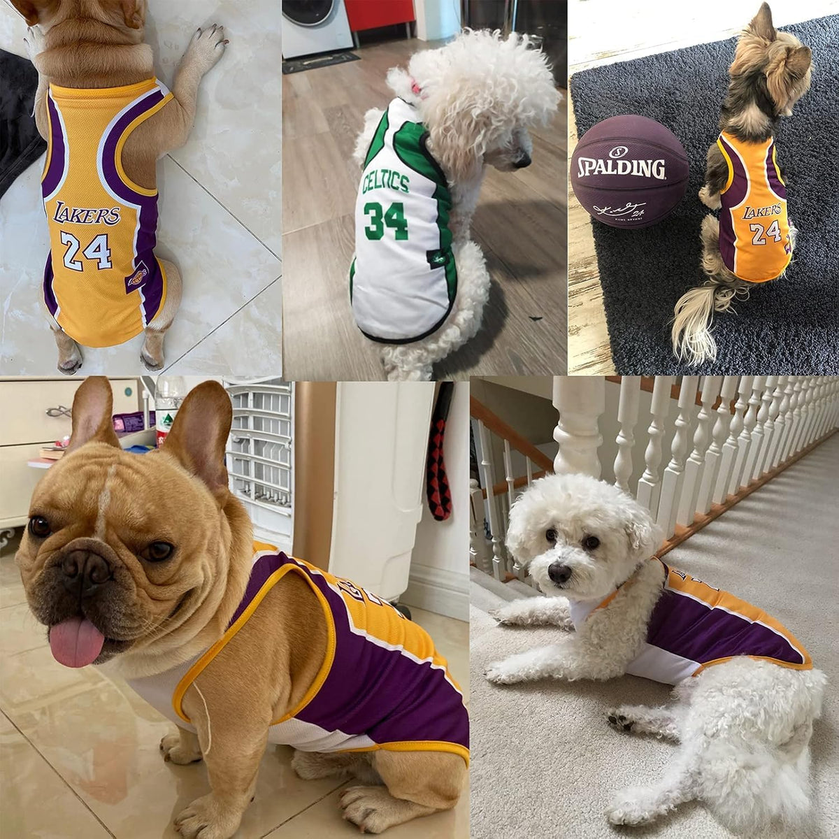 3-Pack Dog Basketball Jersey Set