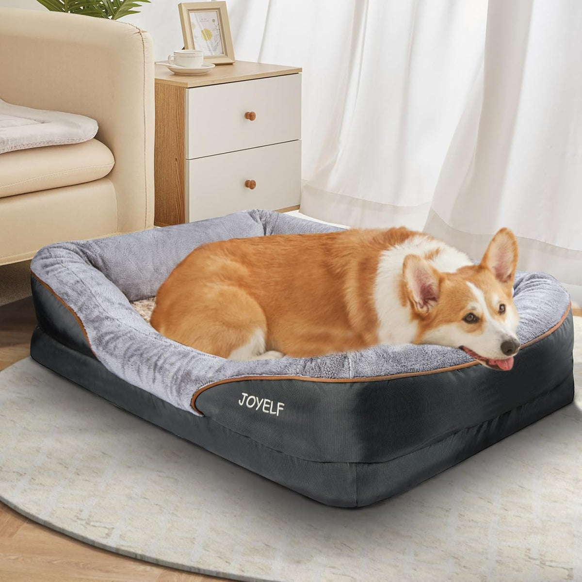 Large Memory Foam Dog Bed, Orthopedic W/ Squeaker Toy