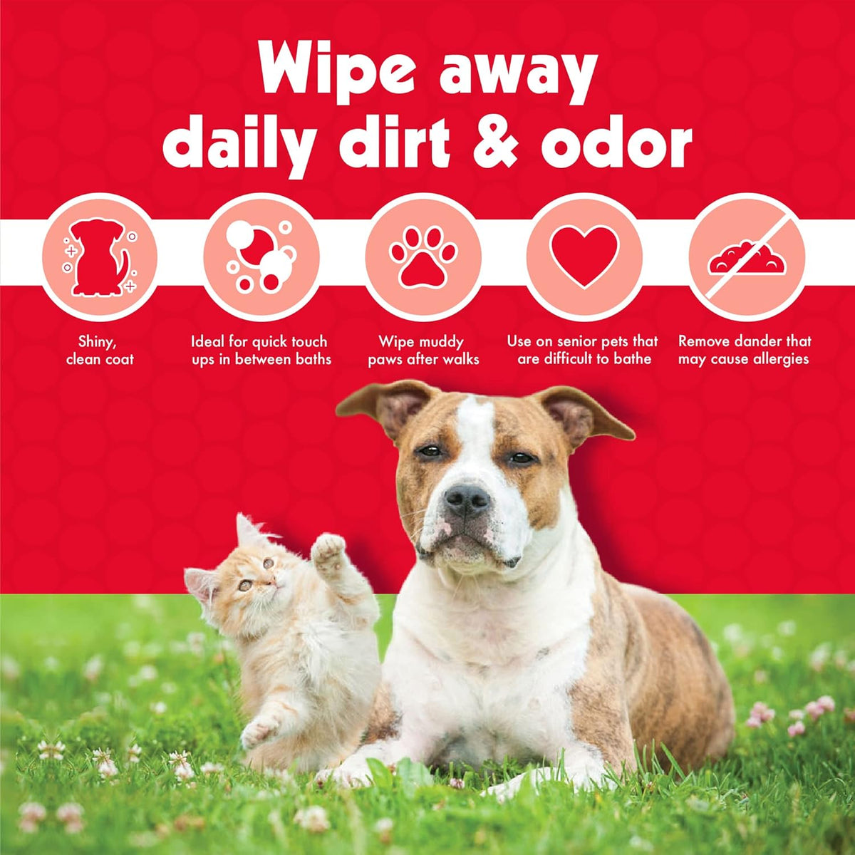 Large Pet Wipes (100Ct)