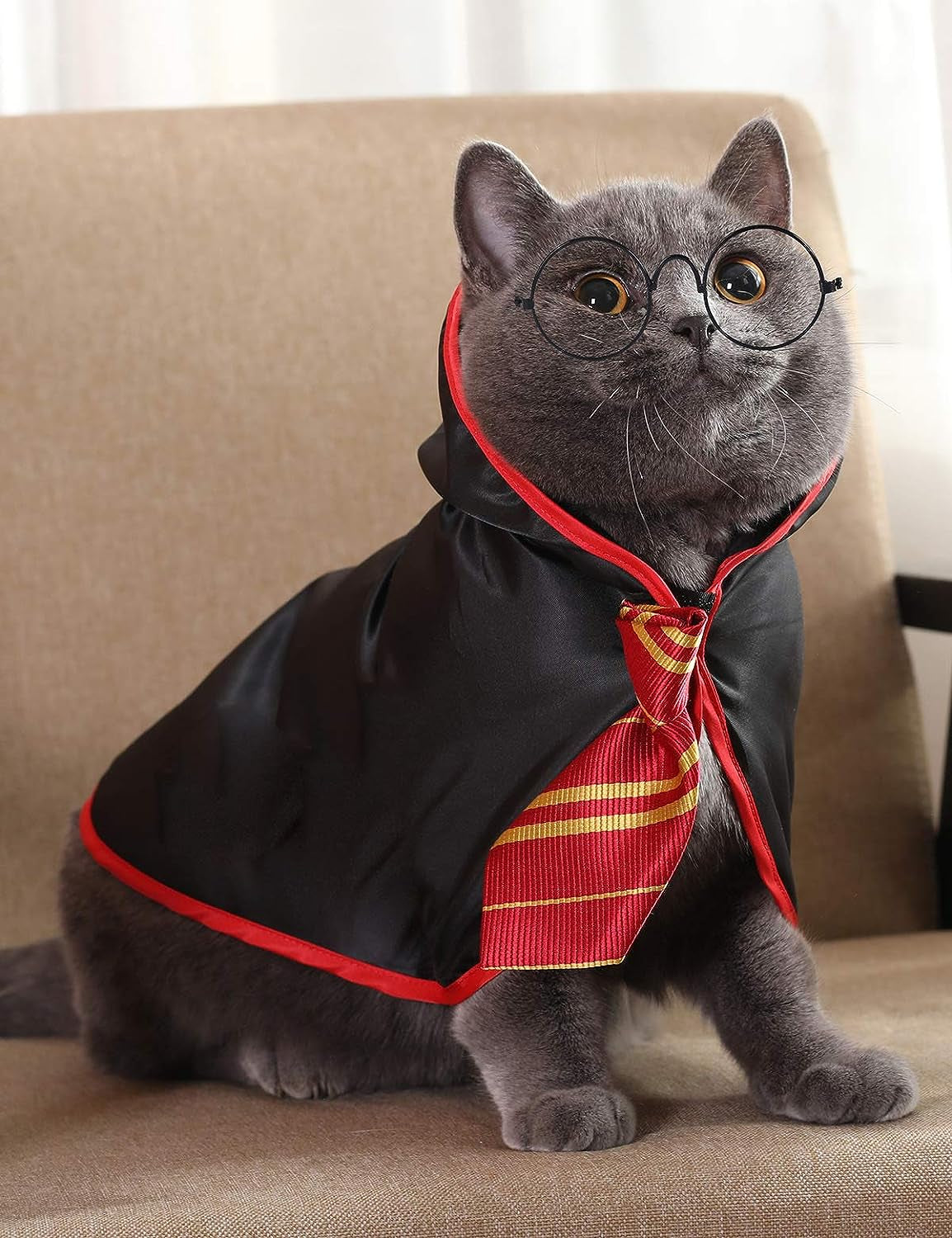 Cat Wizard Halloween Costume