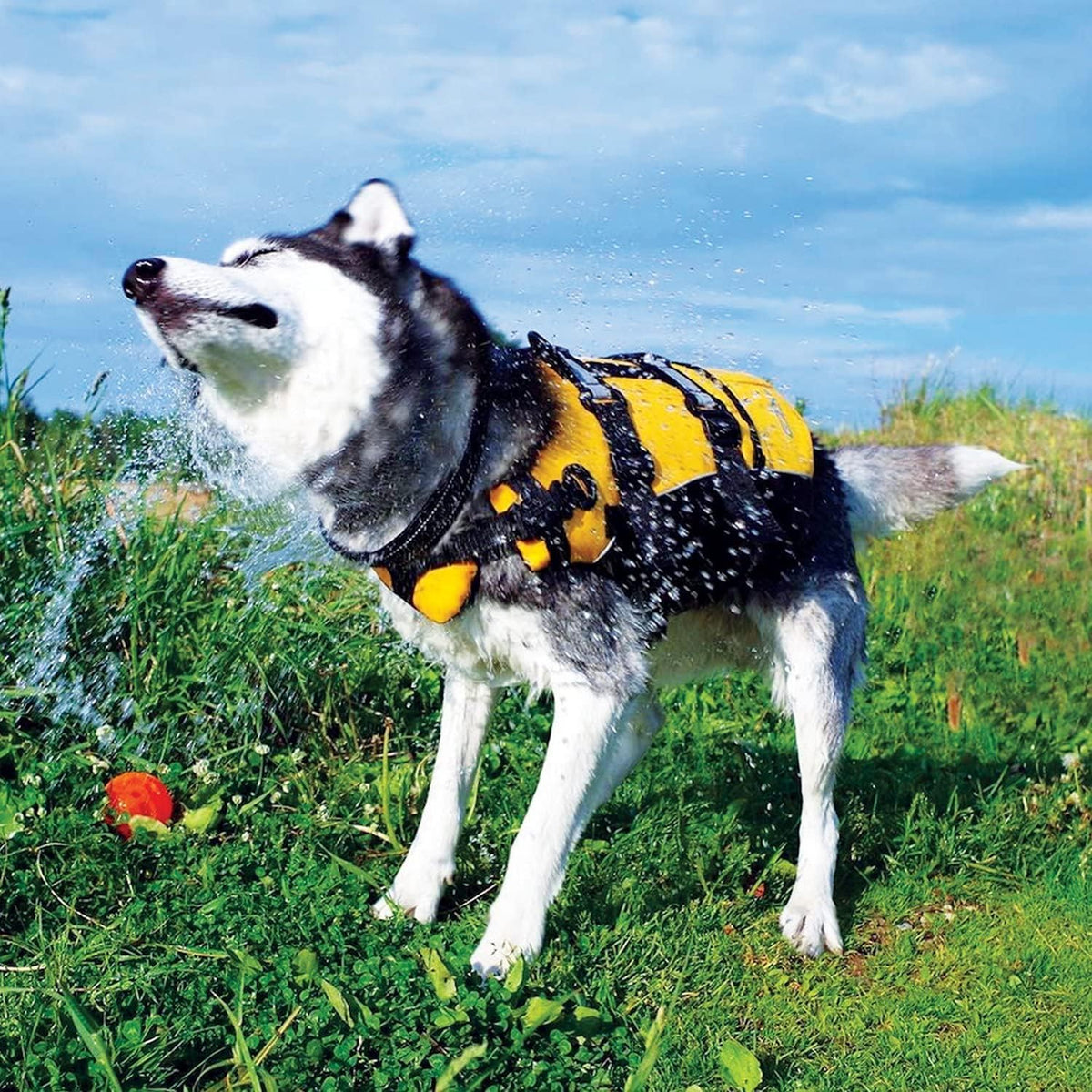 Adjustable Swim Life Jacket