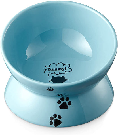Elevated Cat Food Bowl, Ceramic, Anti-Vomiting Tilt Angle