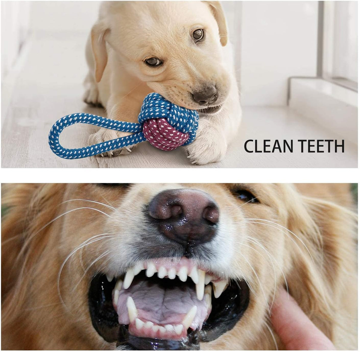 7-Pack Puppy Teething Toys