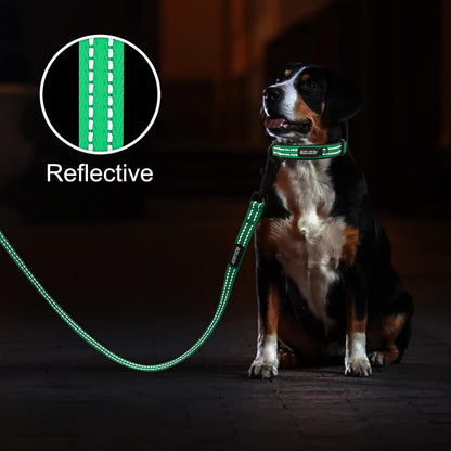 Padded Leash & Collar Matching Set