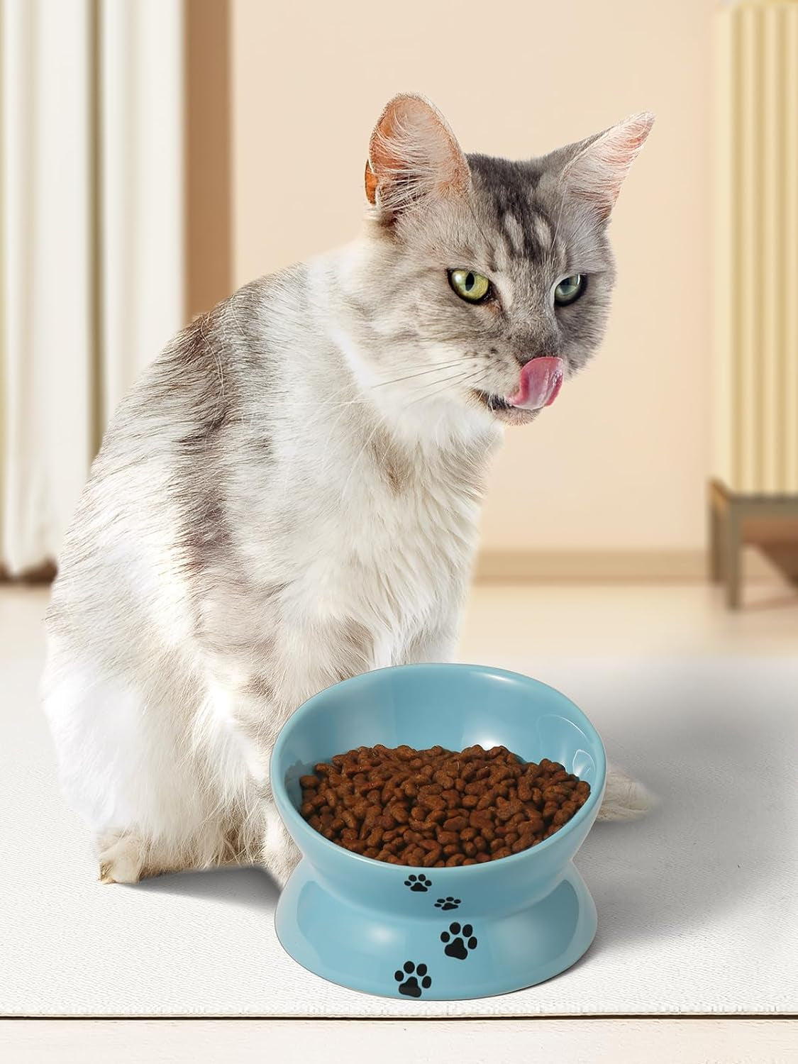 Elevated Cat Food Bowl, Ceramic, Anti-Vomiting Tilt Angle