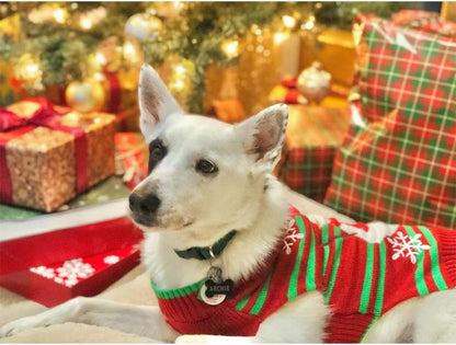 Dog Snowman Sweater, Xmas Sweater for Small Dog/Cat
