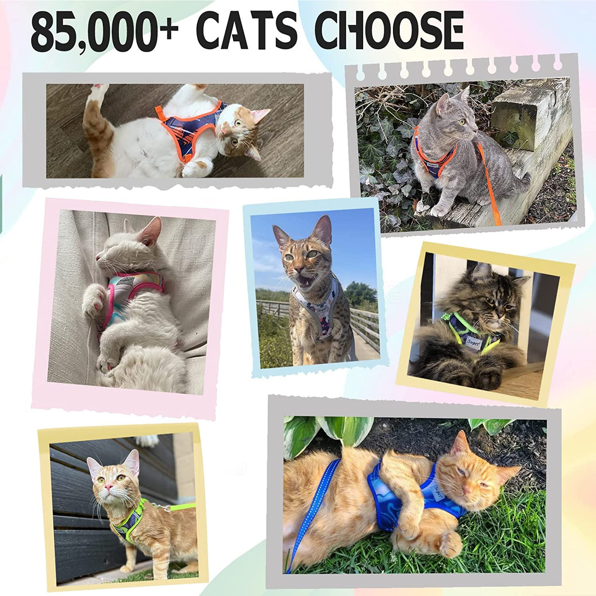 Escape-Proof Cat Harness & Leash Set
