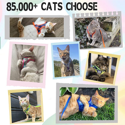 Escape-Proof Cat Harness & Leash Set