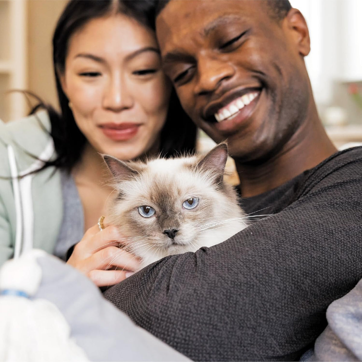 Proactive Health Hairball Care Cat Food