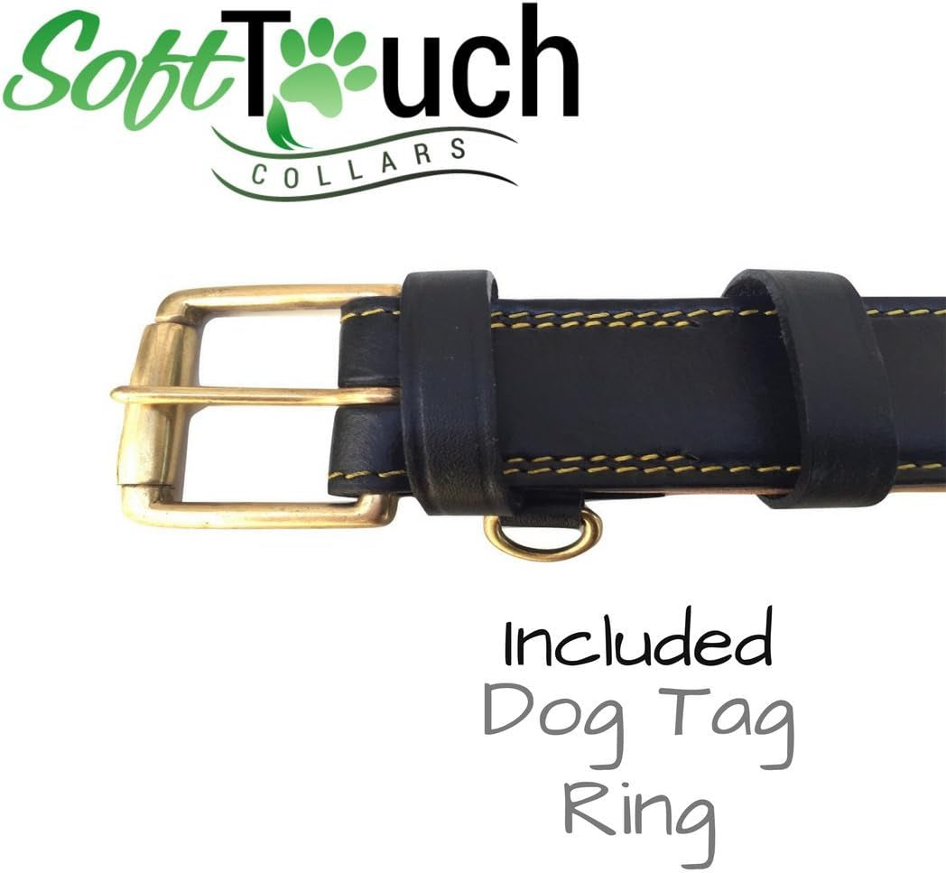 Padded Leather Dog Collar