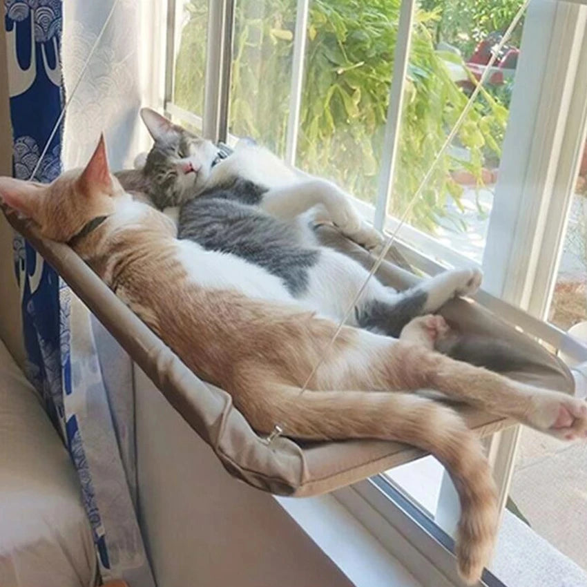 Hanging Cat Hammock Window Perch