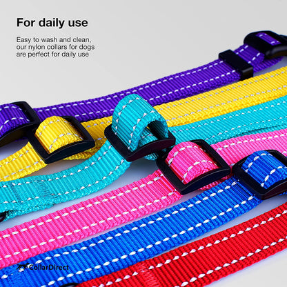 Reflective Nylon Collar