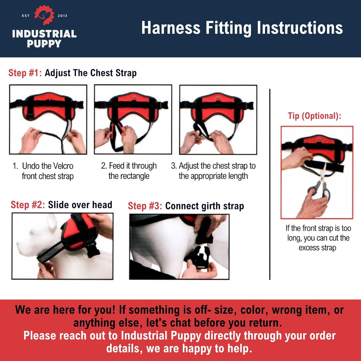 Service Dog Vest + Leash Set