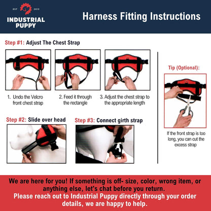 Service Dog Vest + Leash Set