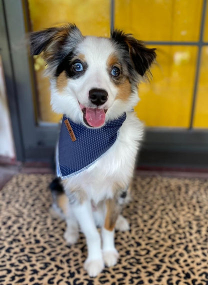 Dog/Cat Bandana