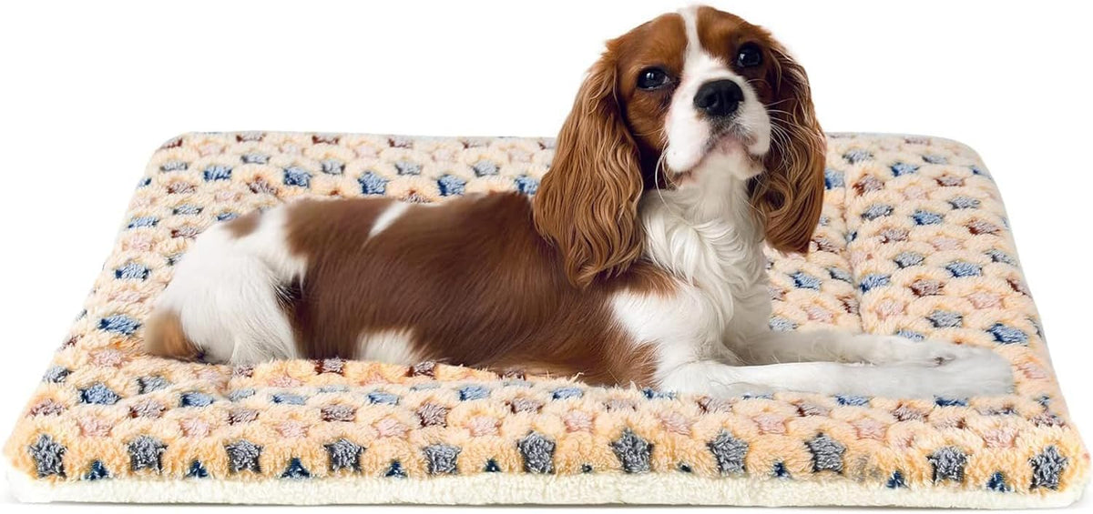 Star-Print Dog Crate Pad
