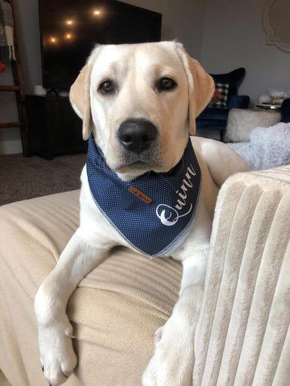 Dog/Cat Bandana