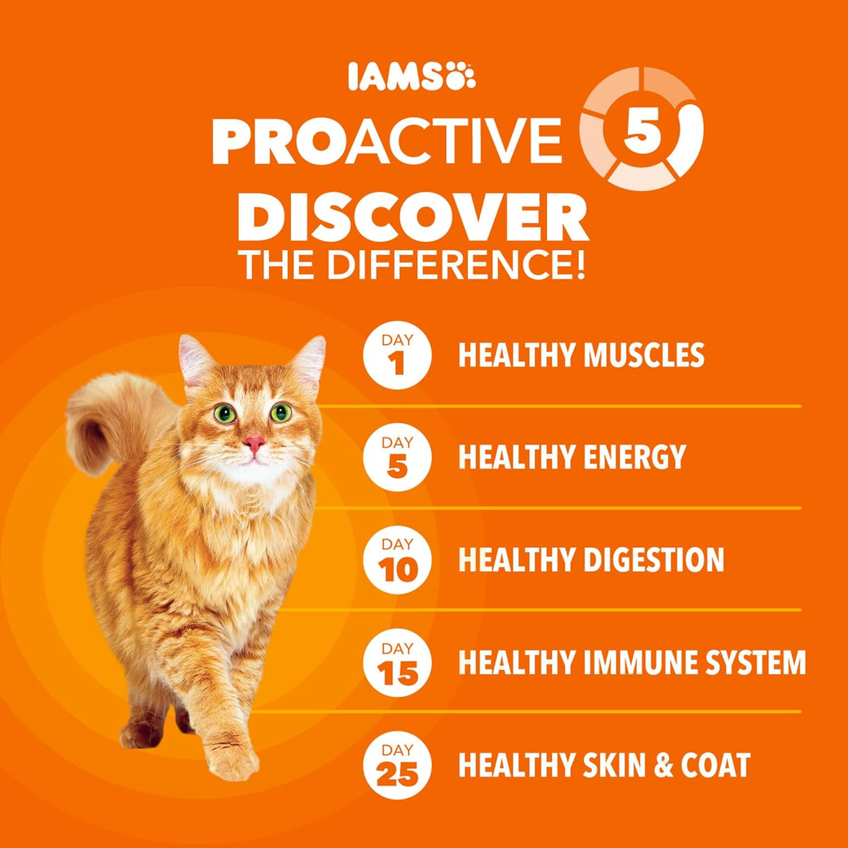 Proactive Health Hairball Care Cat Food