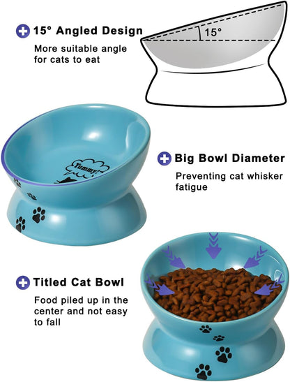 Elevated Cat Food Bowl, Ceramic, Anti-Vomiting Tilt Angle