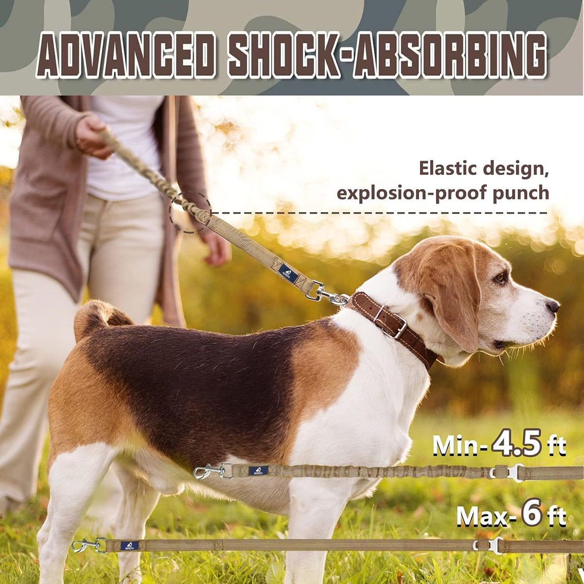 Bungee Leash W/ Car Seatbelt Clip