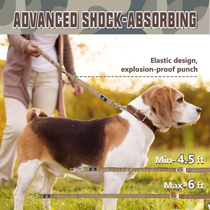 Bungee Leash W/ Car Seatbelt Clip