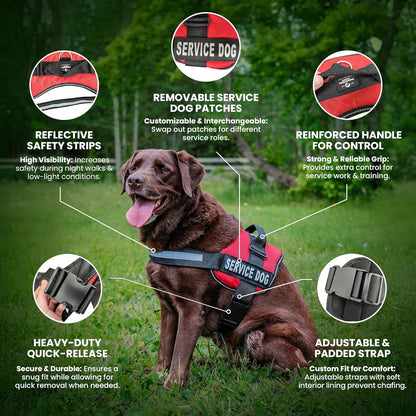 Service Dog Vest + Leash Set