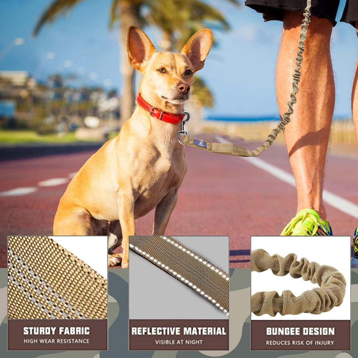 Bungee Leash W/ Car Seatbelt Clip