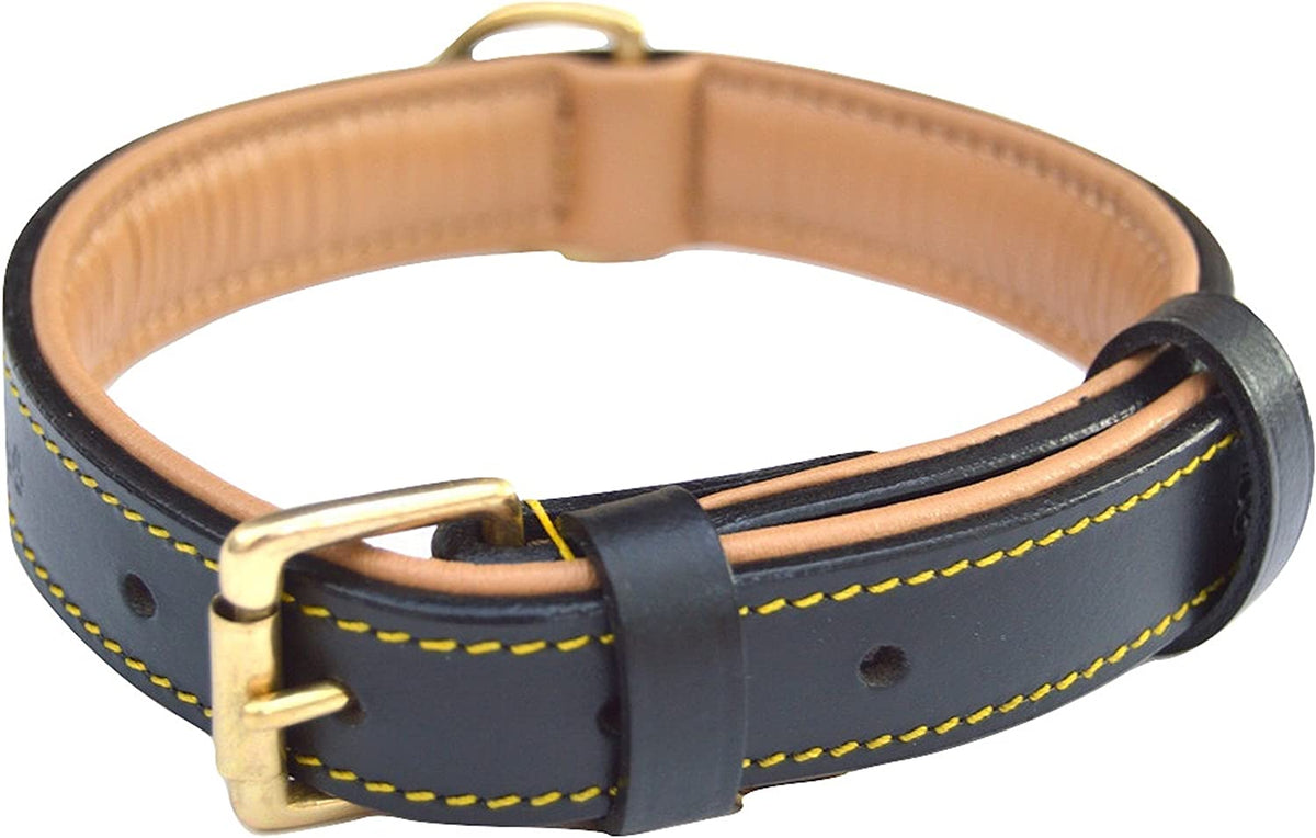 Padded Leather Dog Collar
