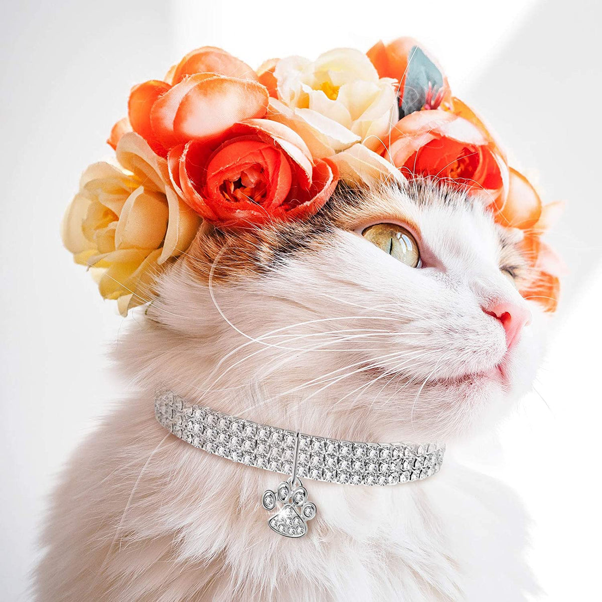 3-Piece Bling Rhinestone Pet Collars, Glitter Adjustable