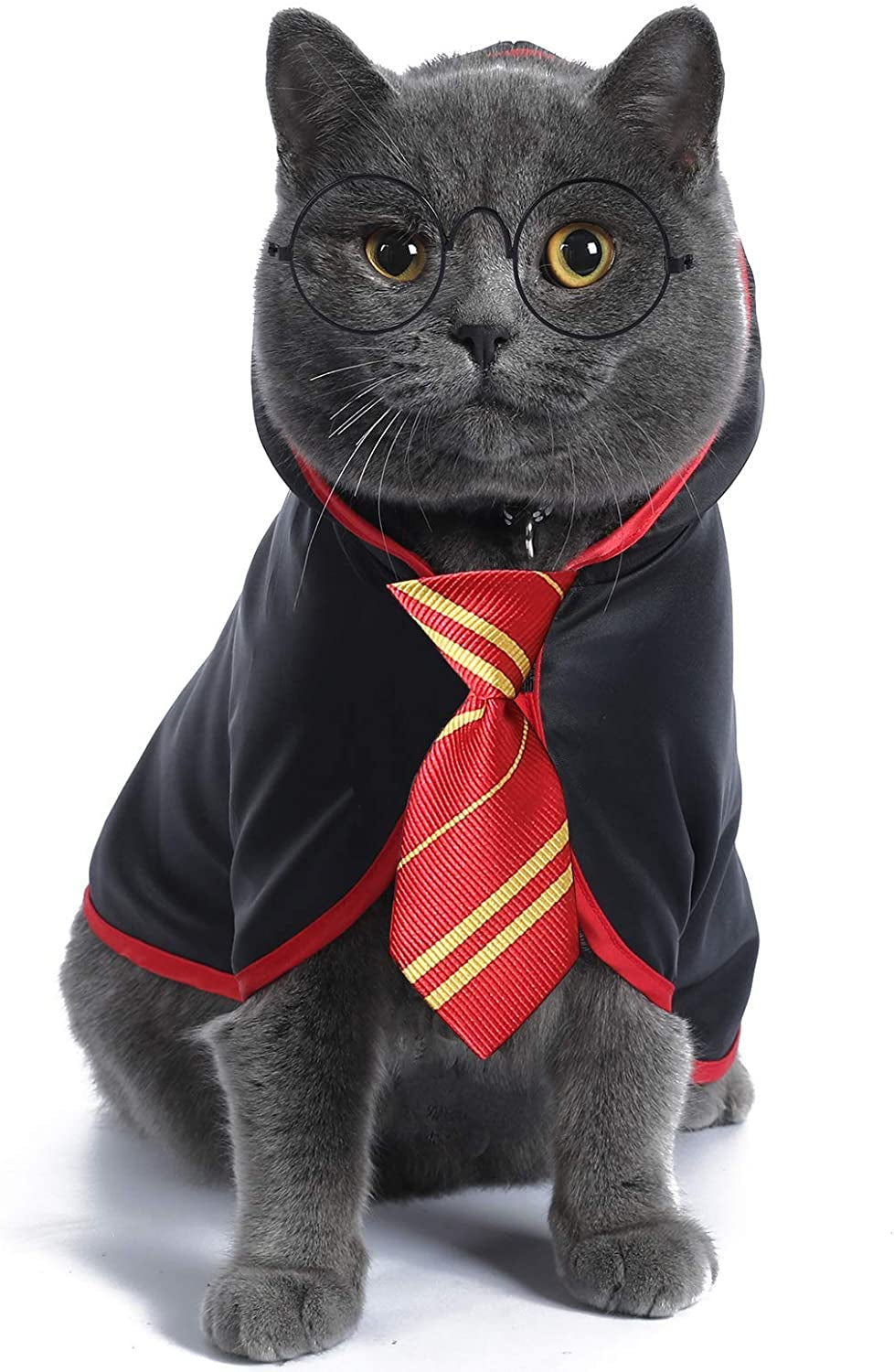 Cat Wizard Halloween Costume