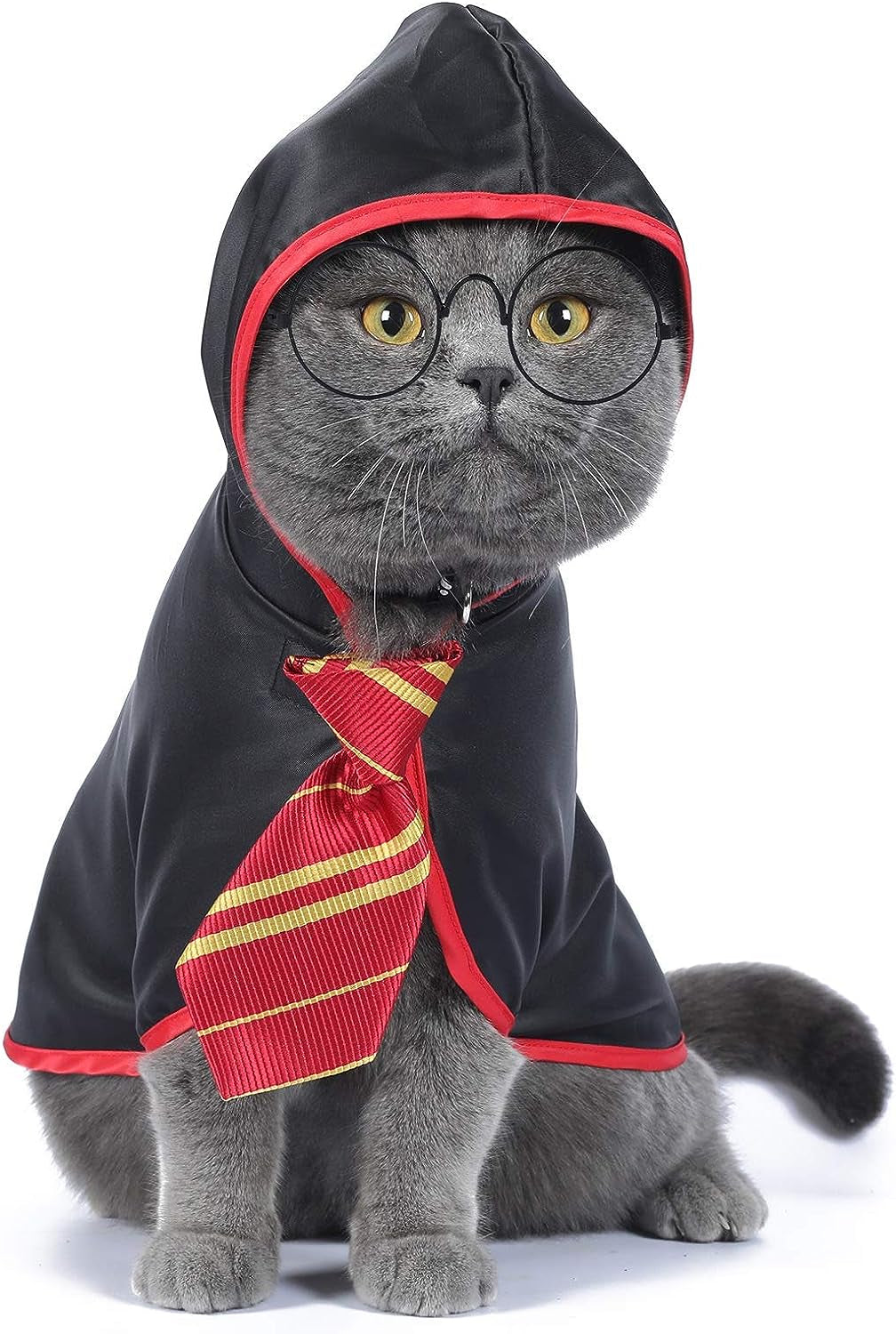 Cat Wizard Halloween Costume