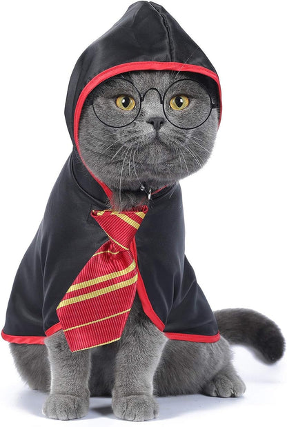Cat Wizard Halloween Costume