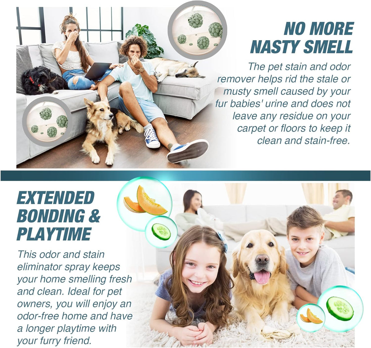 Advanced Pet Odor & Stain Eliminator