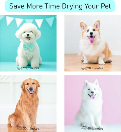 High-Velocity Pet Grooming Hair Dryer