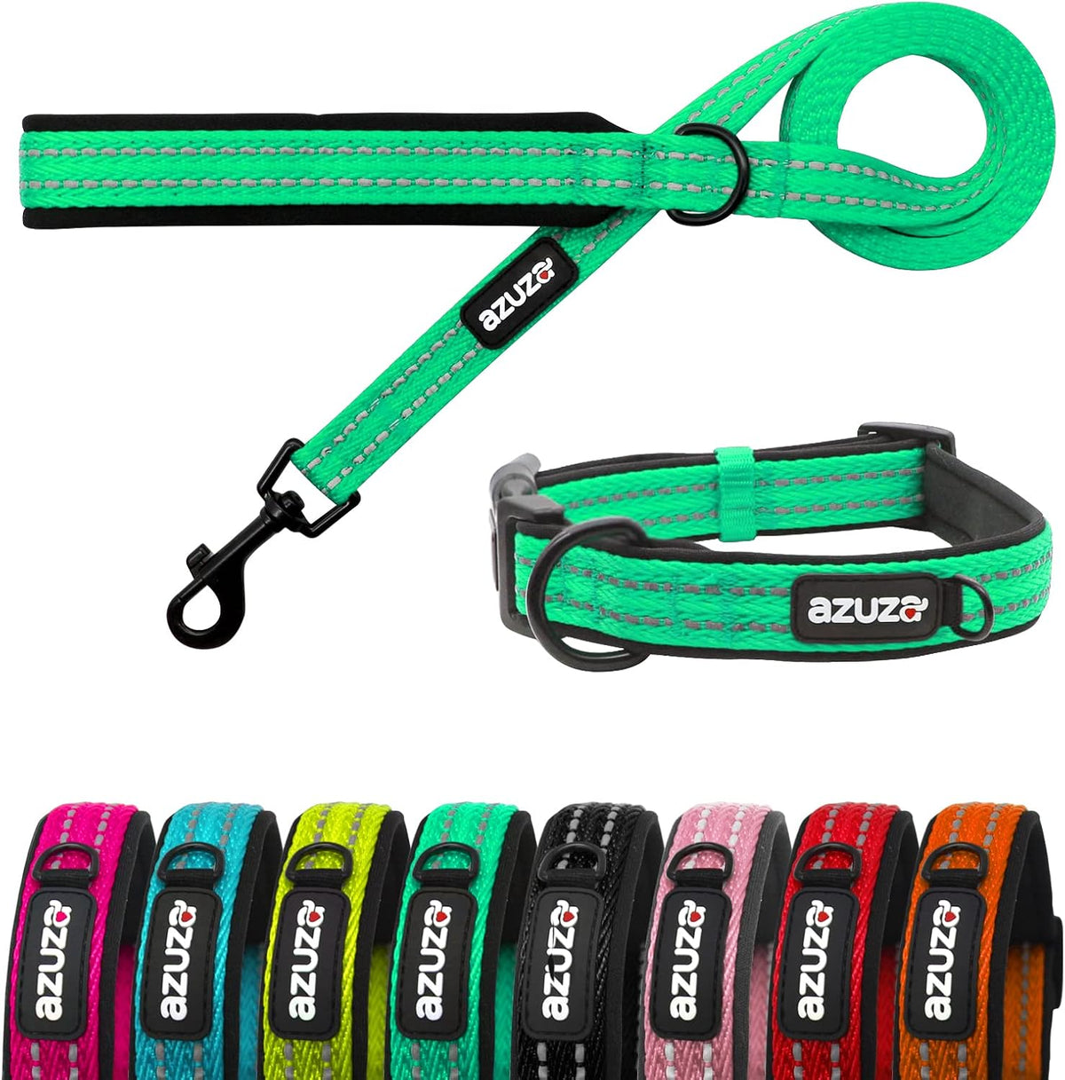 Padded Leash & Collar Matching Set