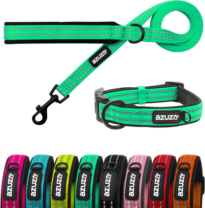Padded Leash & Collar Matching Set