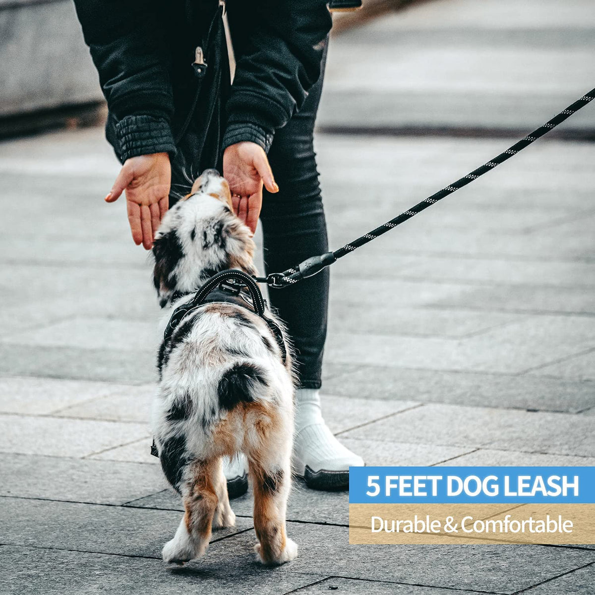 Dog Leash W/ Padded Handle & Reflective Threads
