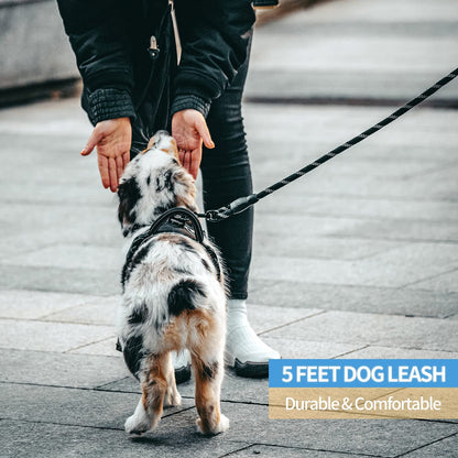 Dog Leash W/ Padded Handle & Reflective Threads