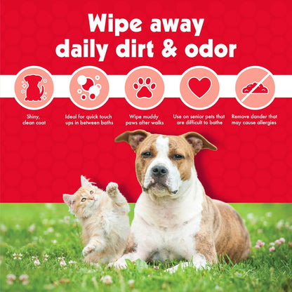 Large Pet Wipes (100Ct)