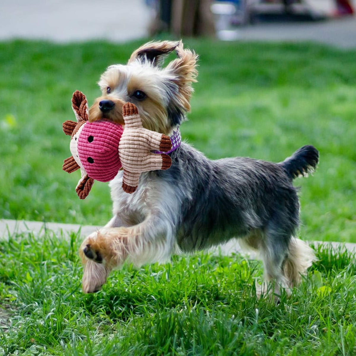 7-Pack Puppy Teething Toys