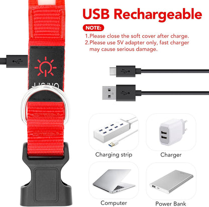 LED Dog Collar, USB Rechargeable Safety Light