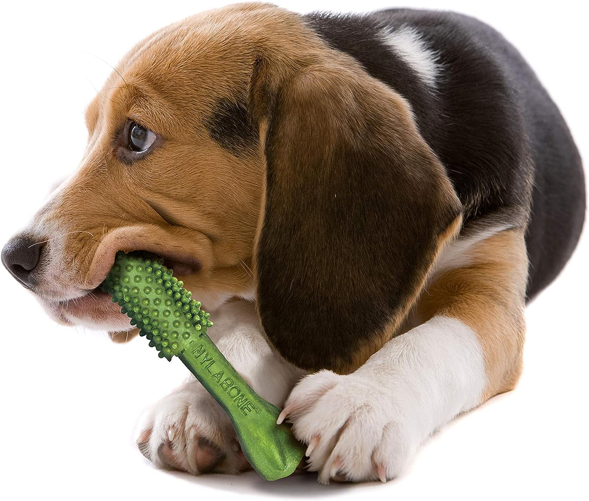 Nutri Dent Dental Chew Treats