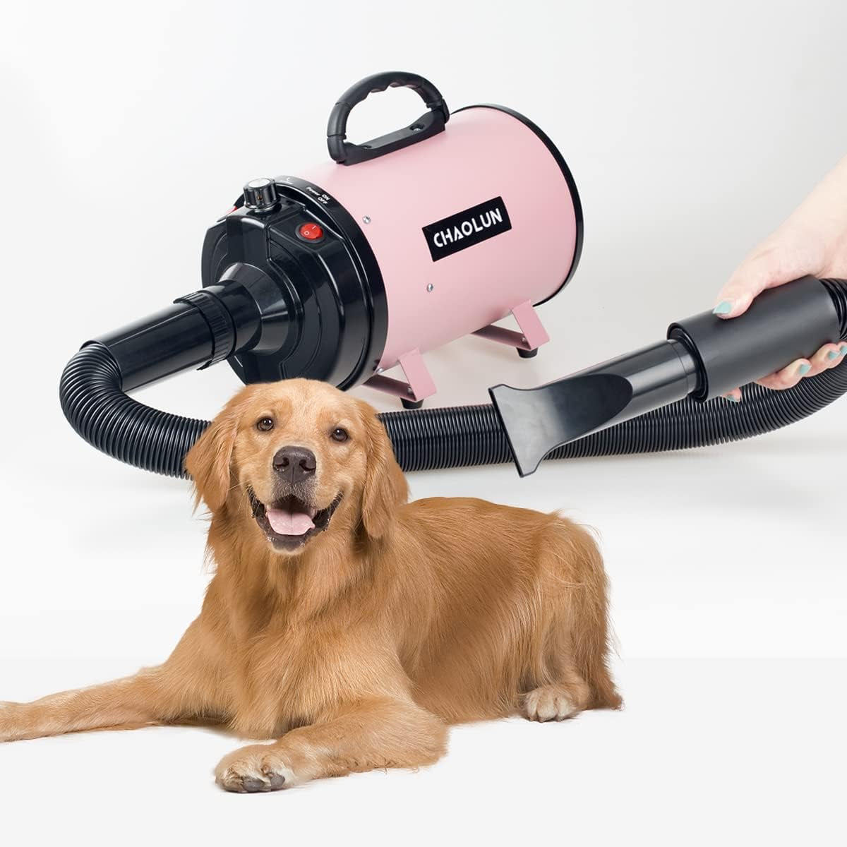 High-Velocity Pet Grooming Hair Dryer