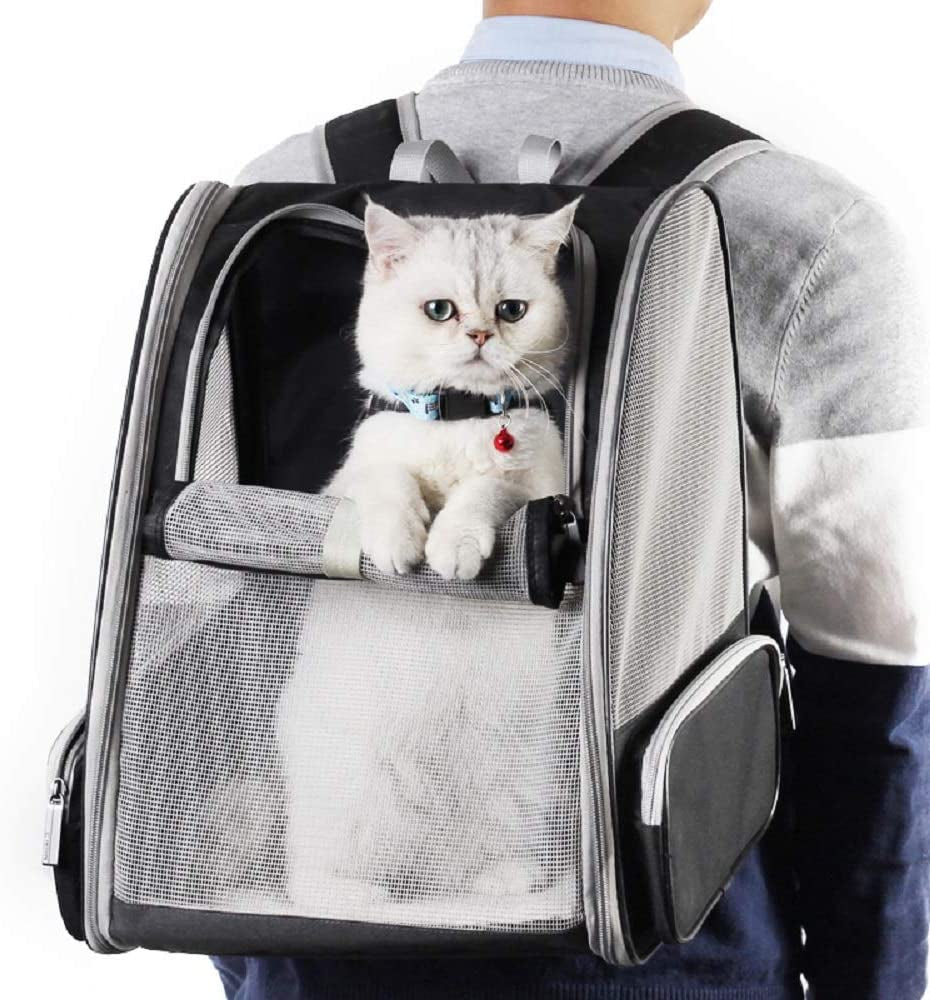 Innovative Bubble Backpack Pet Carrier