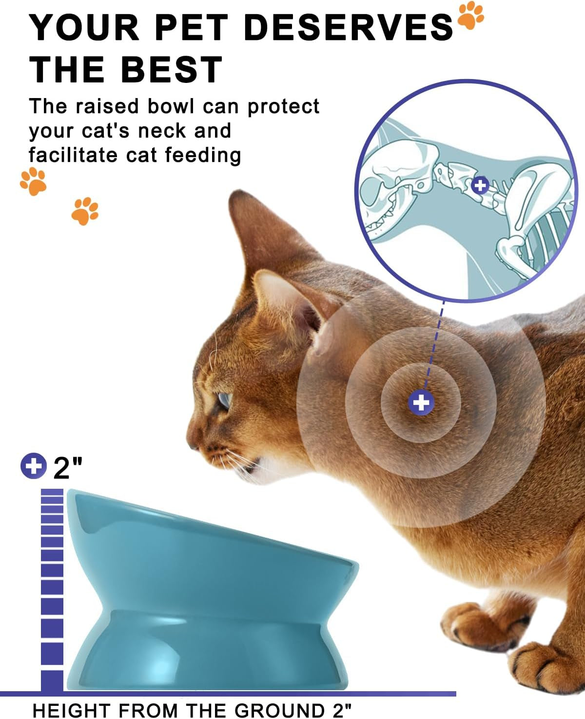 Elevated Cat Food Bowl, Ceramic, Anti-Vomiting Tilt Angle