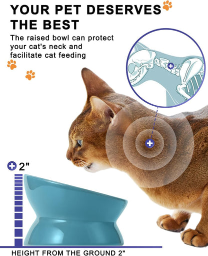 Elevated Cat Food Bowl, Ceramic, Anti-Vomiting Tilt Angle