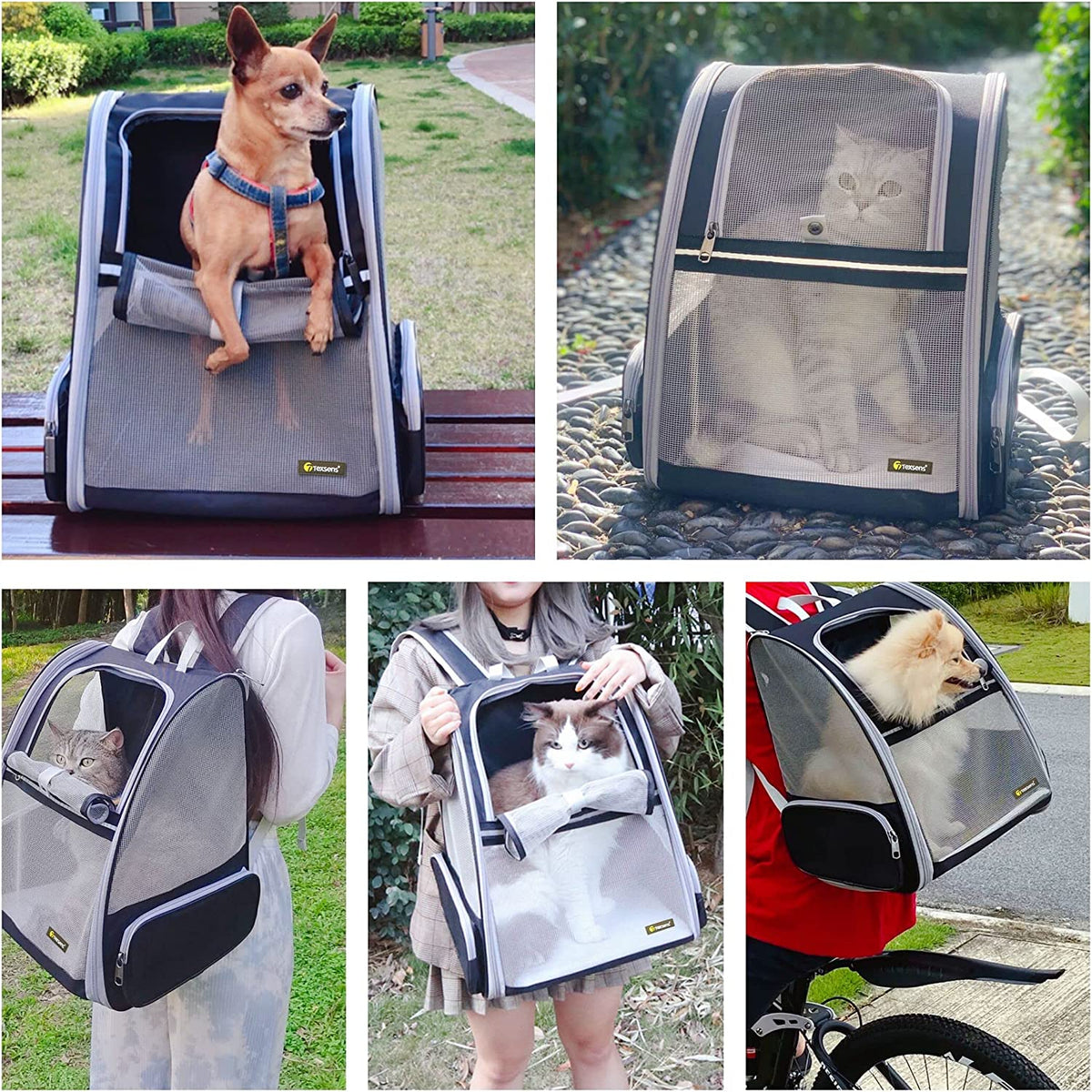 Innovative Bubble Backpack Pet Carrier