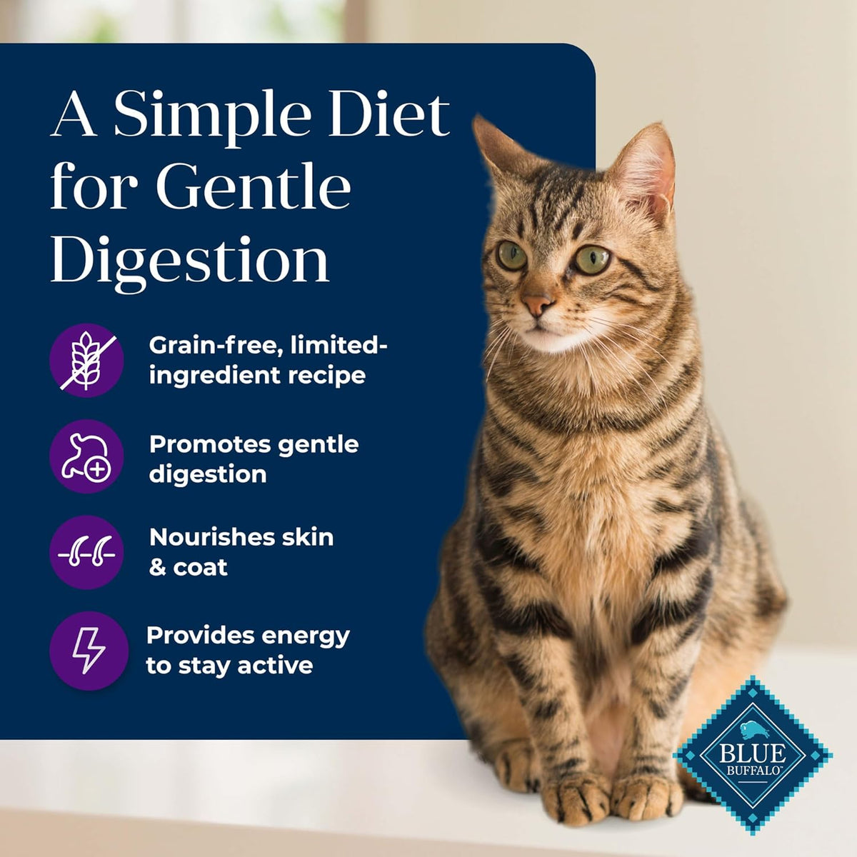 Basics Limited-Ingredient Cat Food