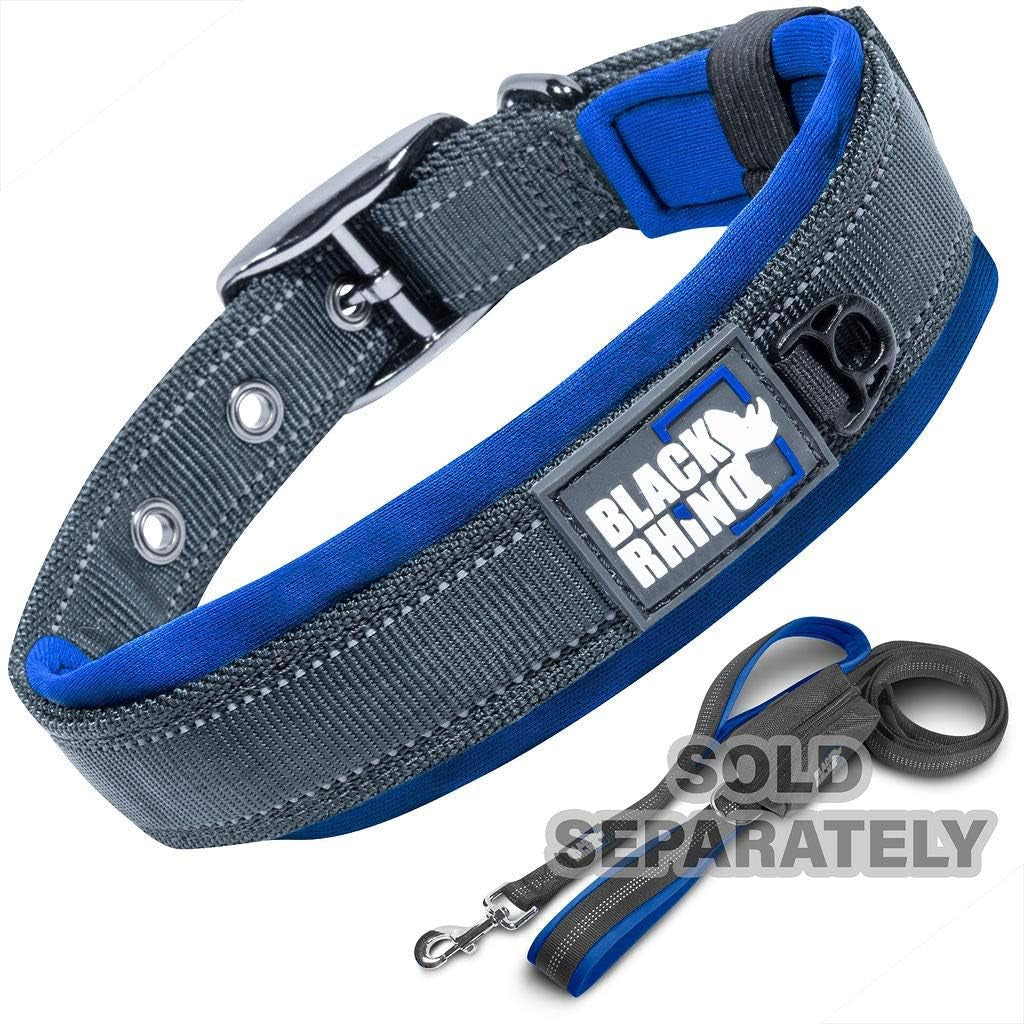 Neoprene-Padded Dog Collar